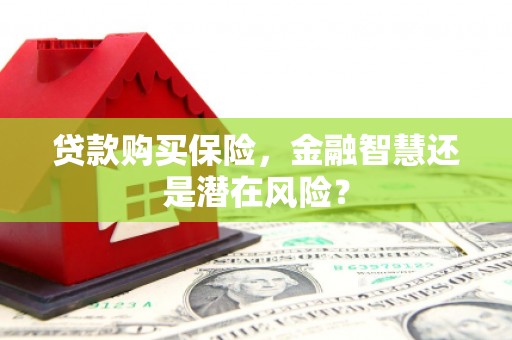 淮阳贷款购买保险，金融智慧还是潜在风险？