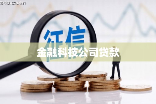 淮阳金融科技公司贷款