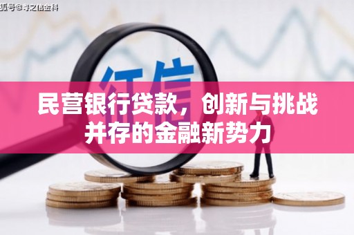 淮阳民营银行贷款，创新与挑战并存的金融新势力