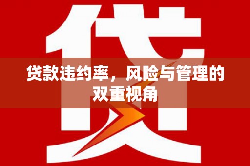淮阳贷款违约率，风险与管理的双重视角