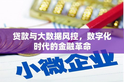 淮阳贷款与大数据风控，数字化时代的金融革命