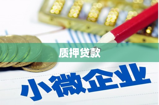 淮阳质押贷款