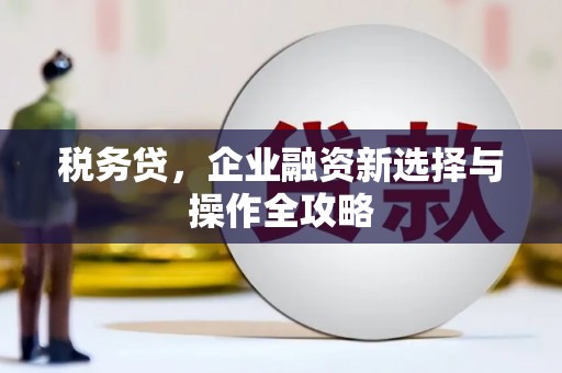 淮阳税务贷，企业融资新选择与操作全攻略