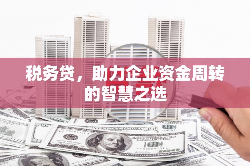 淮阳税务贷，助力企业资金周转的智慧之选