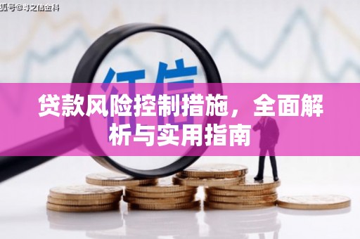 淮阳贷款风险控制措施，全面解析与实用指南