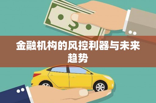 淮阳金融机构的风控利器与未来趋势