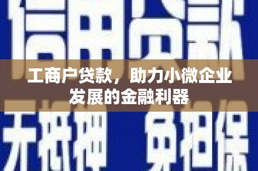 淮阳工商户贷款，助力小微企业发展的金融利器
