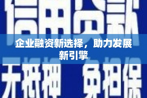 淮阳企业融资新选择，助力发展新引擎