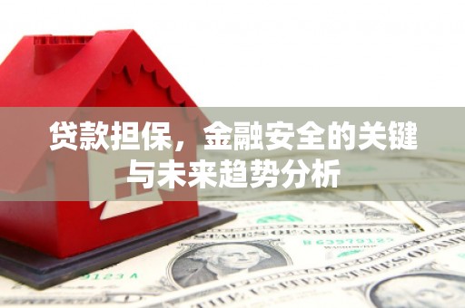 淮阳贷款担保，金融安全的关键与未来趋势分析