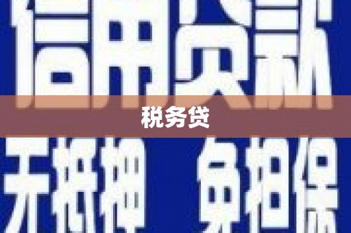 淮阳税务贷