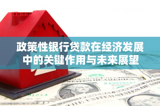 淮阳政策性银行贷款在经济发展中的关键作用与未来展望