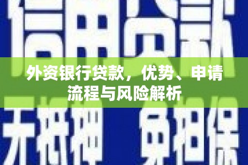 淮阳外资银行贷款，优势、申请流程与风险解析