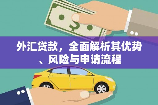 淮阳外汇贷款，全面解析其优势、风险与申请流程