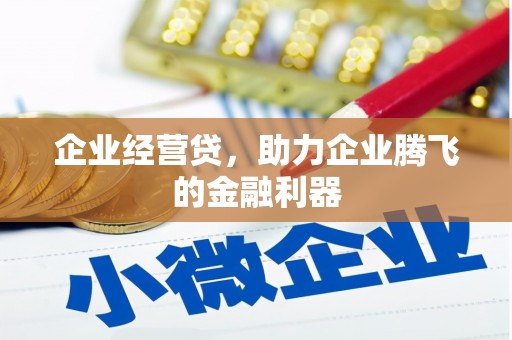 淮阳企业经营贷，助力企业腾飞的金融利器