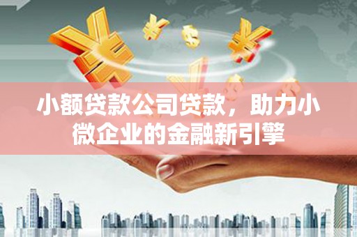 淮阳小额贷款公司贷款，助力小微企业的金融新引擎