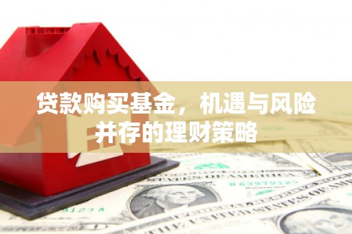 淮阳贷款购买基金，机遇与风险并存的理财策略