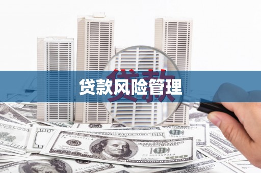 淮阳贷款风险管理