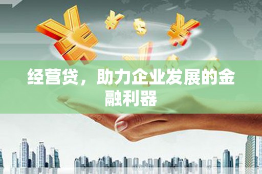 淮阳经营贷，助力企业发展的金融利器