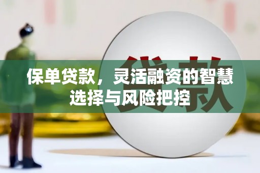 淮阳保单贷款，灵活融资的智慧选择与风险把控