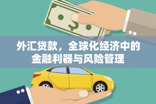淮阳外汇贷款，全球化经济中的金融利器与风险管理