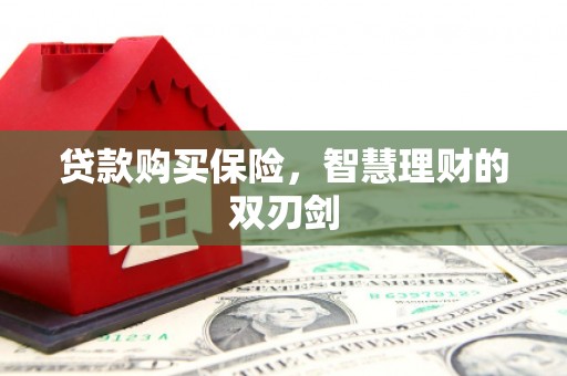 淮阳贷款购买保险，智慧理财的双刃剑