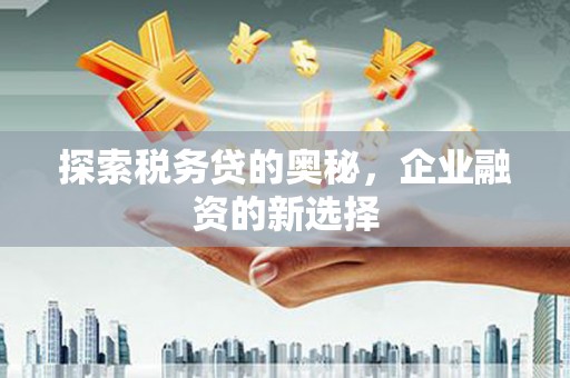 淮阳探索税务贷的奥秘，企业融资的新选择