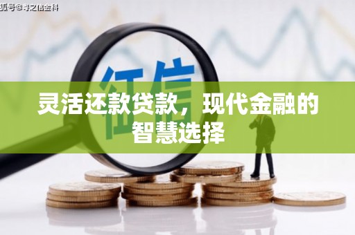 淮阳灵活还款贷款，现代金融的智慧选择