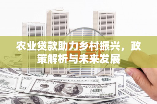 淮阳农业贷款助力乡村振兴，政策解析与未来发展
