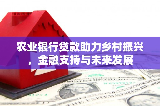 淮阳农业银行贷款助力乡村振兴，金融支持与未来发展