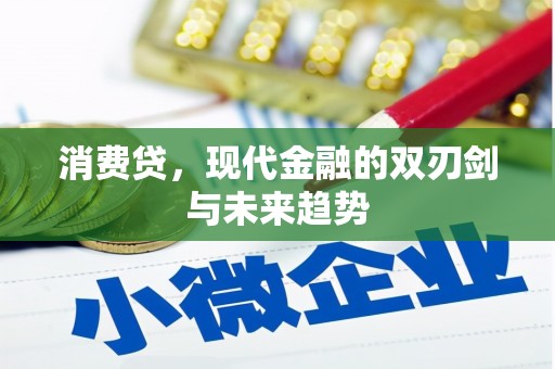 淮阳消费贷，现代金融的双刃剑与未来趋势
