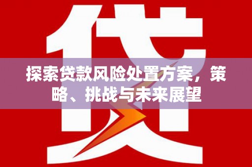 淮阳探索贷款风险处置方案，策略、挑战与未来展望