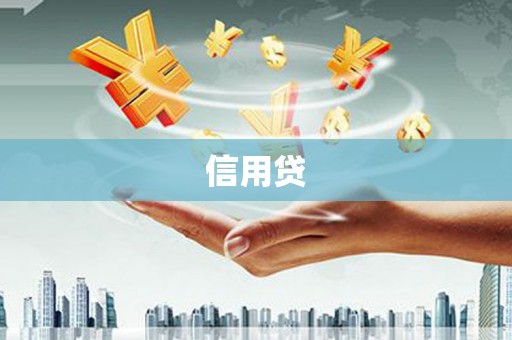 淮阳信用贷