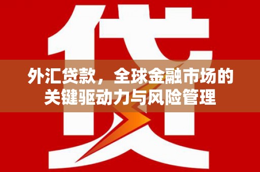 淮阳外汇贷款，全球金融市场的关键驱动力与风险管理