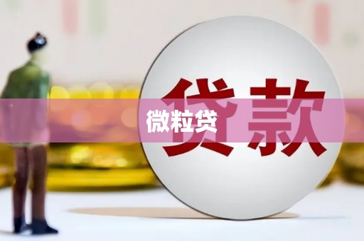 淮阳微粒贷