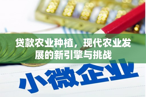 淮阳贷款农业种植，现代农业发展的新引擎与挑战
