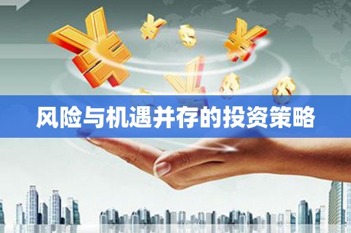 淮阳风险与机遇并存的投资策略