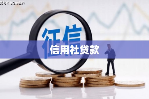 淮阳信用社贷款