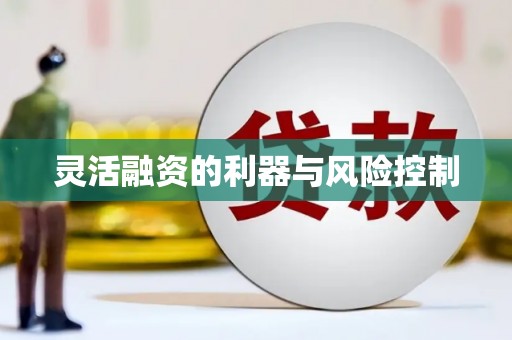 淮阳灵活融资的利器与风险控制