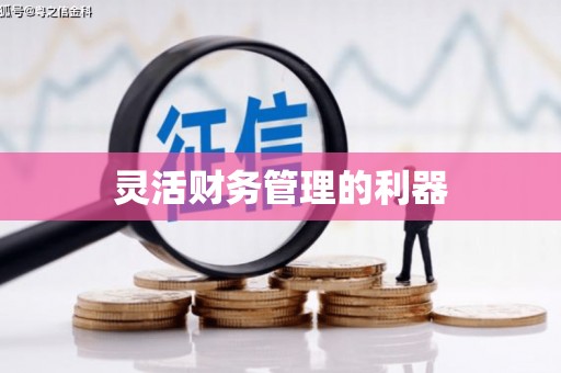 淮阳灵活财务管理的利器