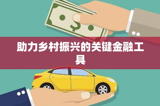 淮阳助力乡村振兴的关键金融工具