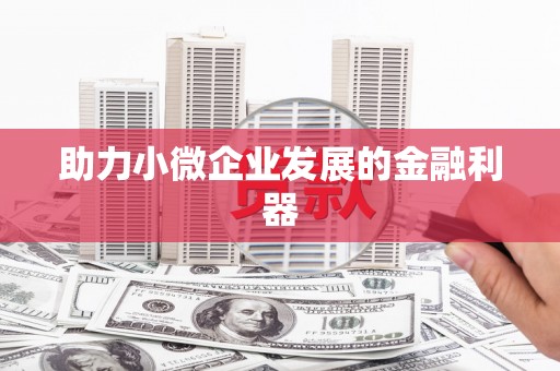 淮阳助力小微企业发展的金融利器