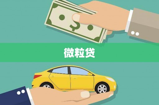 淮阳微粒贷