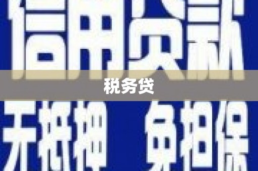 淮阳税务贷
