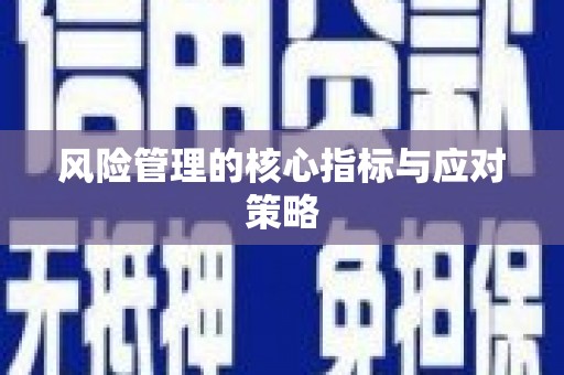 淮阳风险管理的核心指标与应对策略
