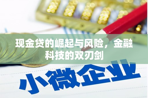 淮阳现金贷的崛起与风险，金融科技的双刃剑