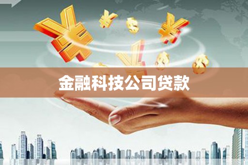 淮阳金融科技公司贷款