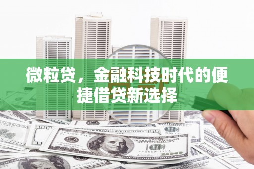 淮阳微粒贷，金融科技时代的便捷借贷新选择