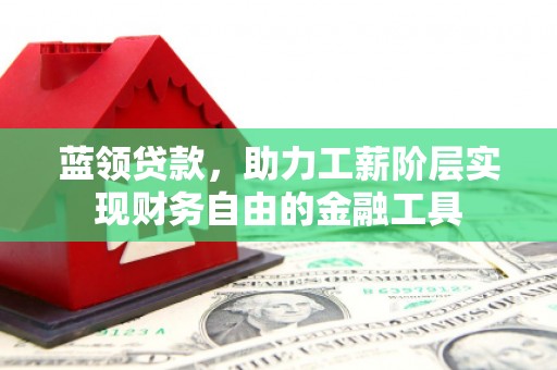 淮阳蓝领贷款，助力工薪阶层实现财务自由的金融工具