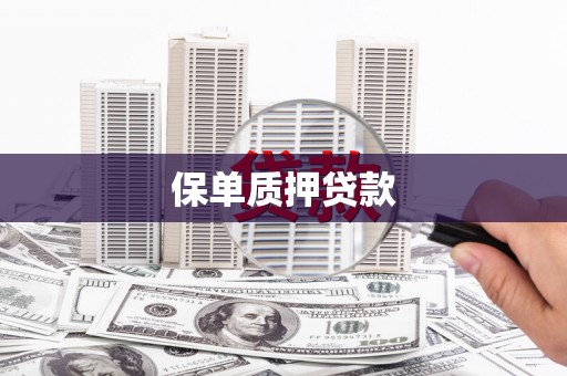 淮阳保单质押贷款