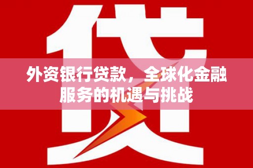 淮阳外资银行贷款，全球化金融服务的机遇与挑战